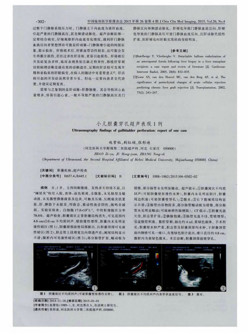 小儿胆囊穿孔超声表现1例