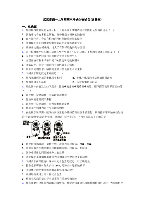 武汉市高一上学期期末考试生物试卷(含答案)