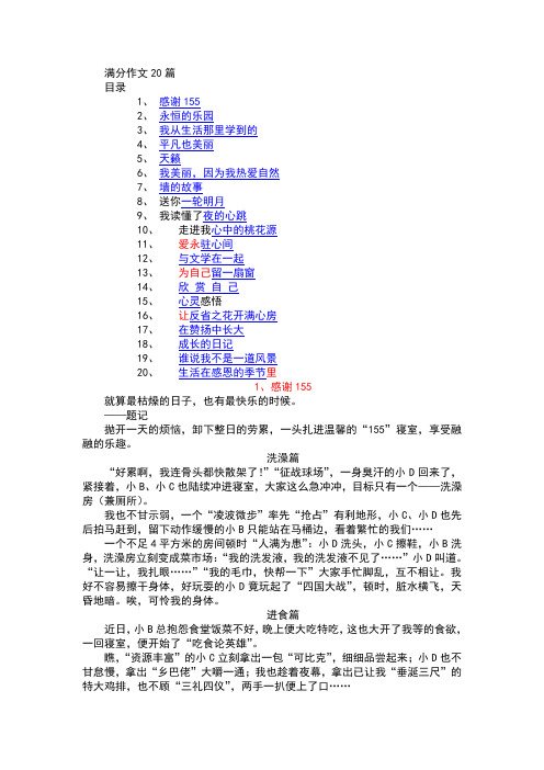 最经典中考满分作文20篇教学提纲