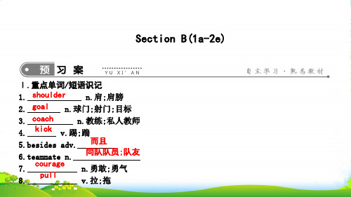 人教新目标九年级下册英语课件：Unit 11 Section B(1a-2e)