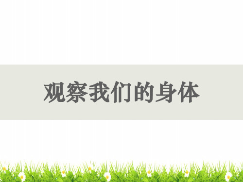 最新科教版小学二年级科学下册《观察我们的身体》精品课件