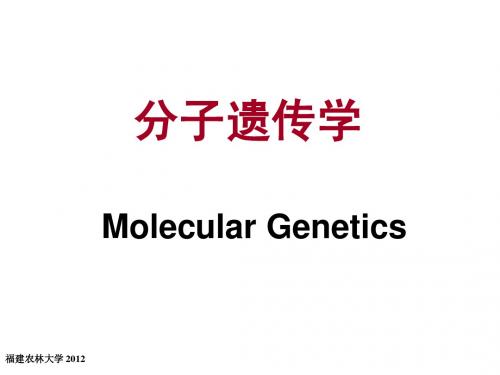 分子遗传学-第1章-遗传物质