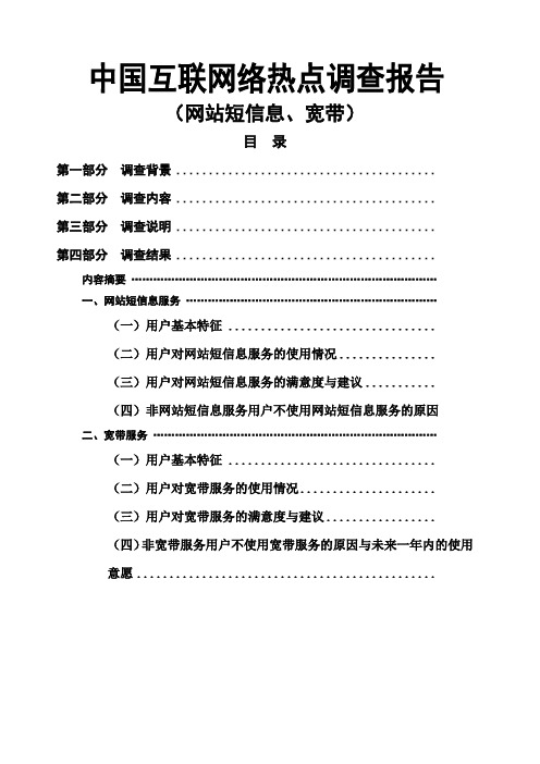 中国互联网络热点调查报告网站短信息、宽带)