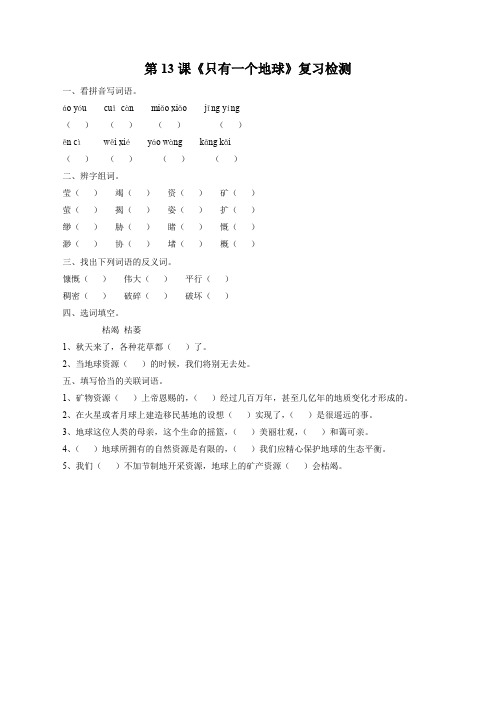 人教版六年级语文上册《只有一个地球》习题1