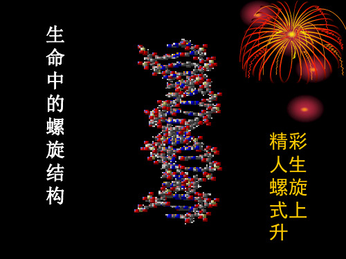 2第二章基因克隆载体的种类和特性 (1)