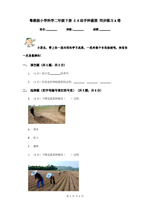 粤教版小学科学二年级下册 2.6动手种蔬菜 同步练习A卷