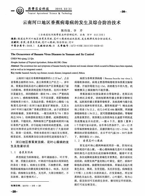 云南河口地区香蕉病毒病的发生及综合防治技术