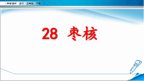 最新部编版三年级语文下册《28 枣核》精品课件