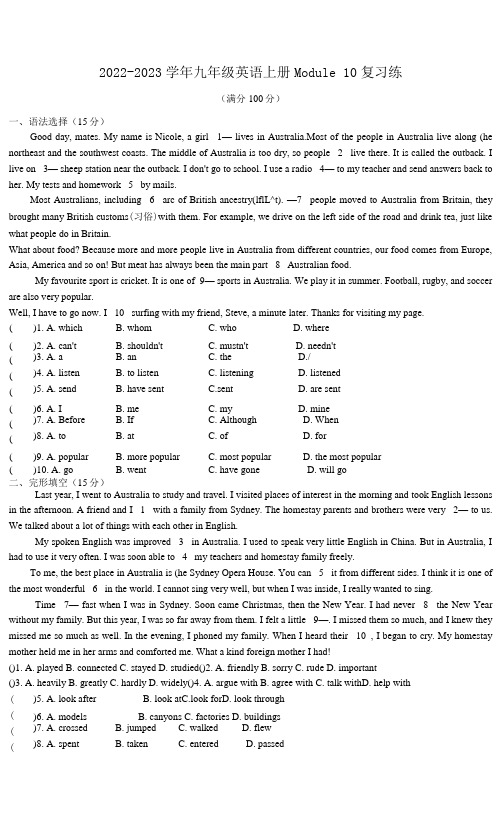 2022-2023学年外研版九年级英语上册Module 10 复习练含答案