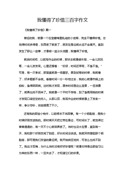 我懂得了珍惜三百字作文