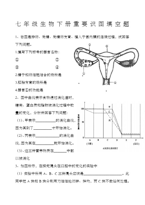 七年级生物下册重要识图填空题