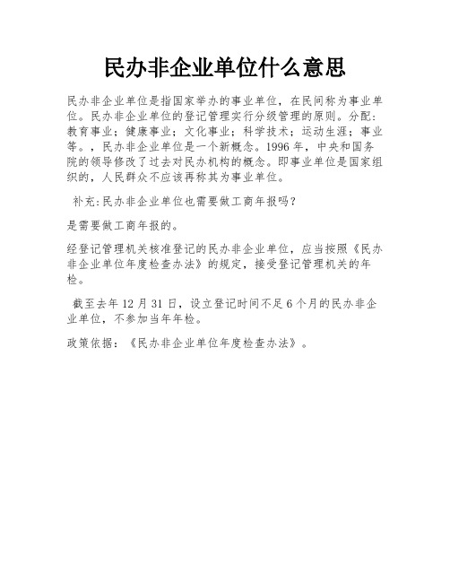 民办非企业单位什么意思