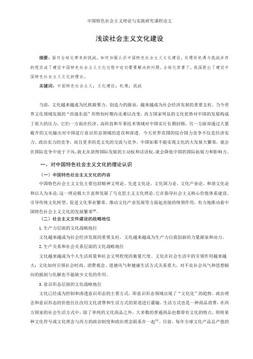 台睿作业中国特色社会主义l理论研究与理论实践课程论文