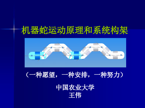 机器蛇系统构架和运动原理