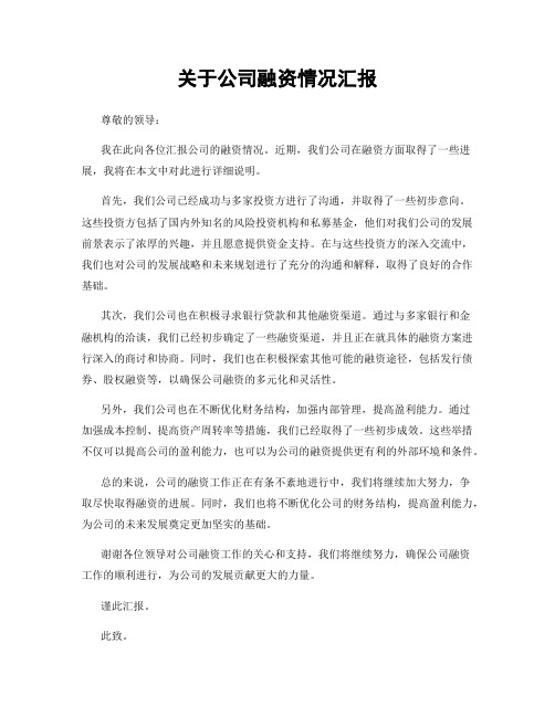 关于公司融资情况汇报