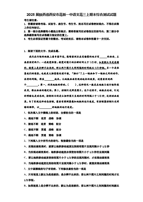 2025届陕西省西安市高新一中语文高三上期末综合测试试题含解析