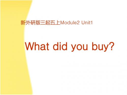 外研版五年级上册英语What-did-you-buy