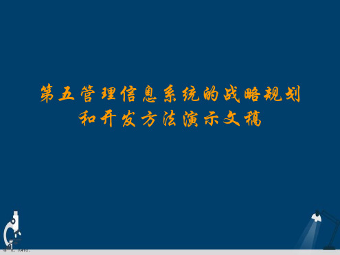 第五管理信息系统的战略规划和开发方法演示文稿