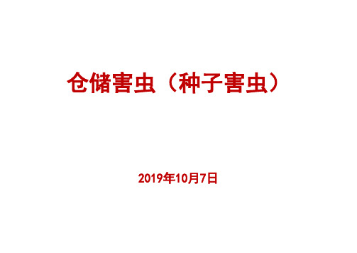 仓储害虫(种子害虫) 浙江大学农业昆虫学