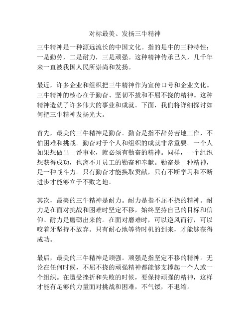 对标最美、发扬三牛精神