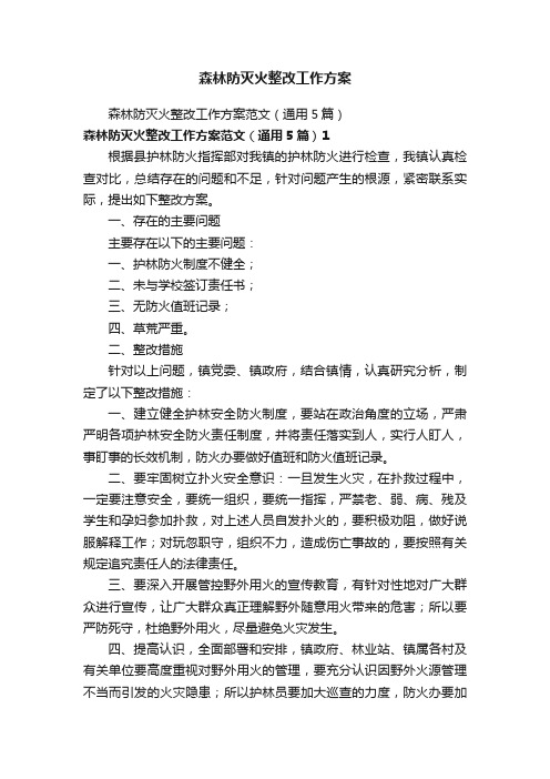 森林防灭火整改工作方案