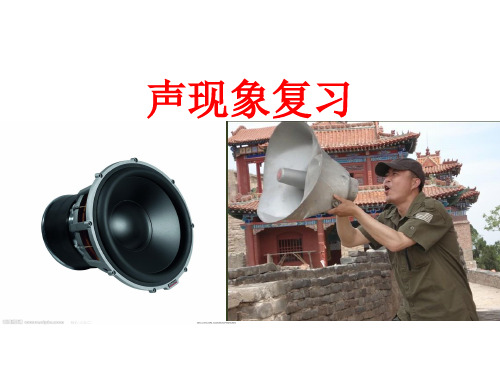 优秀课件2018河南中考面对面物理名师课件:2声现象 (共37张PPT)