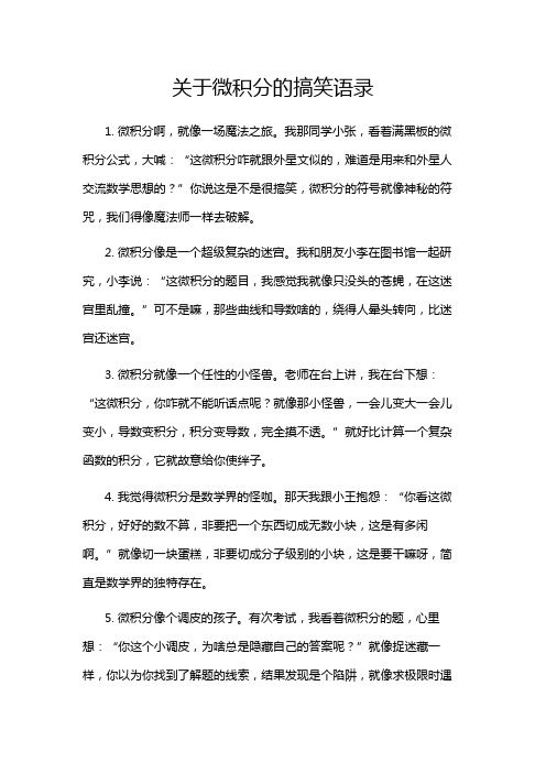 关于微积分的搞笑语录