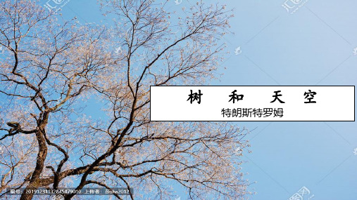 第四单元 特朗斯特罗姆《树和天空》课件-2020-2021学年高中语文(统编版)选择性必修中册