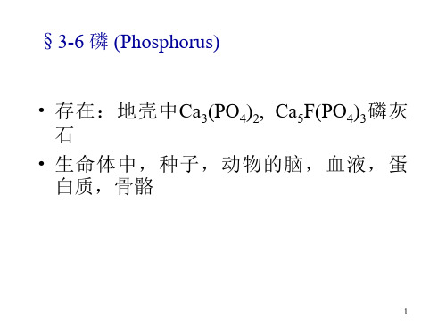 磷PhosphoruPPT课件