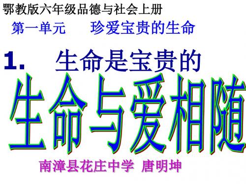 第2课时生命与爱相随