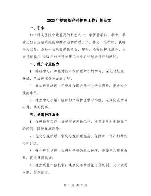 2023年护师妇产科护理工作计划范文