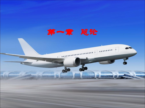 民航安全检查总论