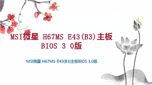 MSI微星 H67MS E43(B3)主板BIOS 3 0版