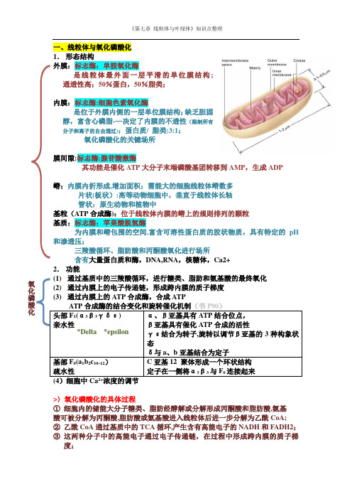 细胞生物学第七章线粒体与叶绿体知识点整理