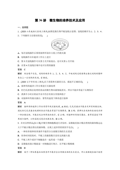 课时作业1：微生物的培养技术及应用