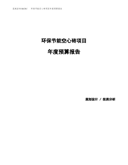 环保节能空心砖项目年度预算报告