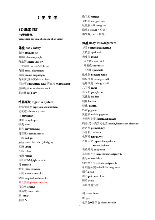 昆虫学常用名称(骆)