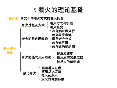 燃烧理论5着火的理论基础