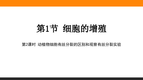 高中生物《动植物细胞有丝分裂的区别和观察有丝分裂实验》PPT课件