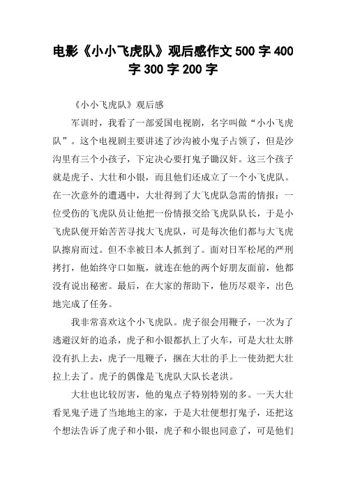 电影《小小飞虎队》观后感作文500字400字300字200字_3