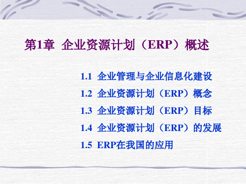 企业资源计划ERP原理与实施