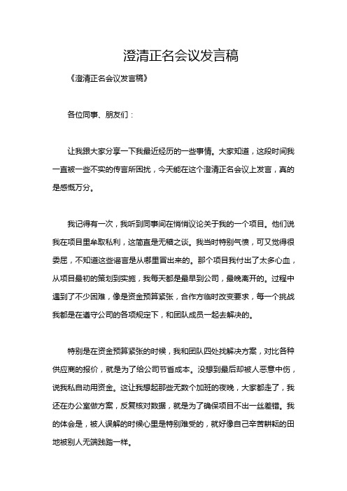 澄清正名会议发言稿