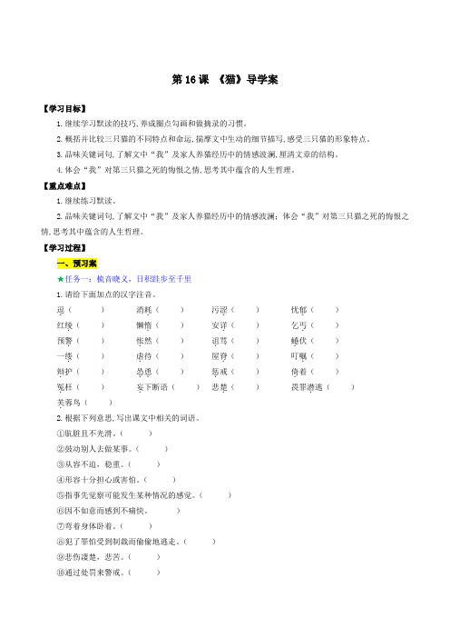 第16课猫(导学案)七年级语文上册