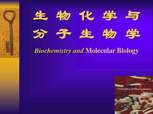 生物化学与分子生物学