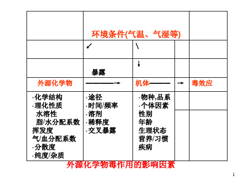 化学物毒性作用的影响因素课件