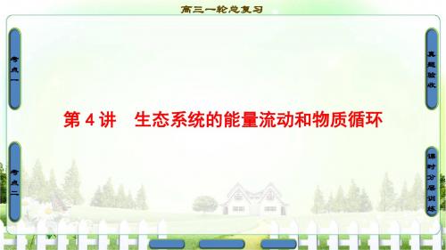 2018届高三生物(人教版)一轮复习课件必修3第9单元第4讲生态系统的能量流动和物质循环