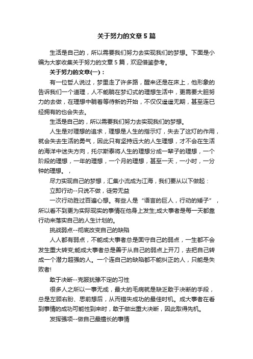 关于努力的文章5篇