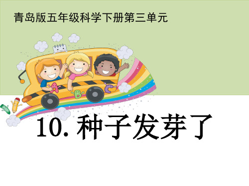 10《种子发芽了》教学课件