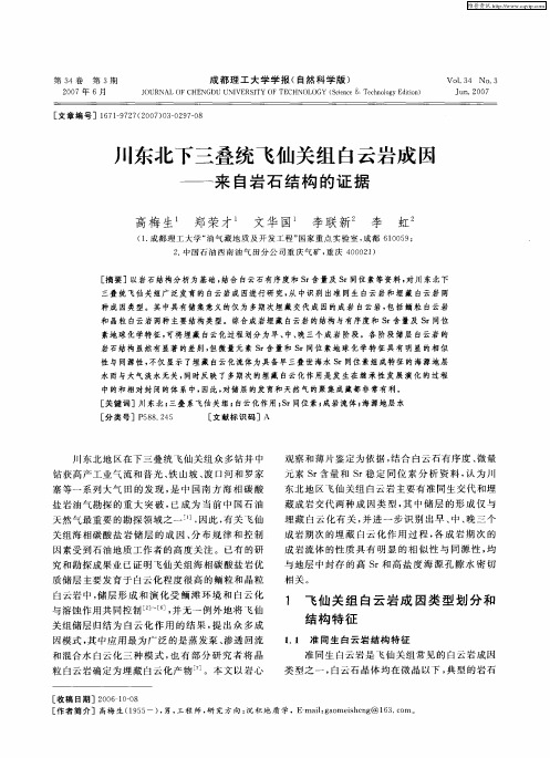 川东北下三叠统飞仙关组白云岩成因——来自岩石结构的证据