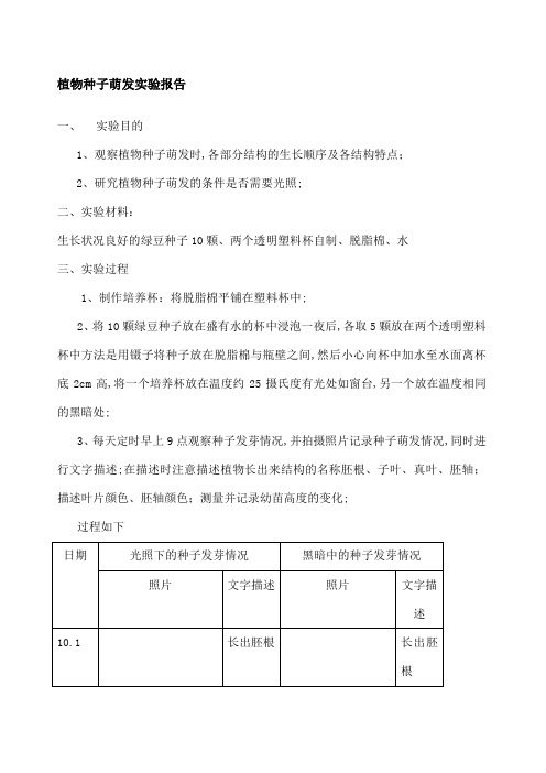 植物种子萌发实验报告